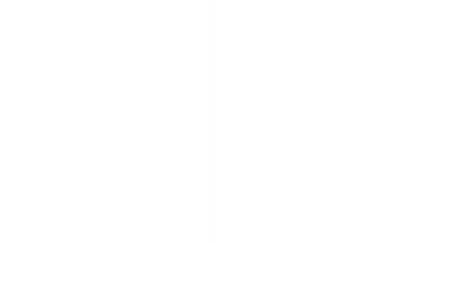 BeForService Consulting & Training